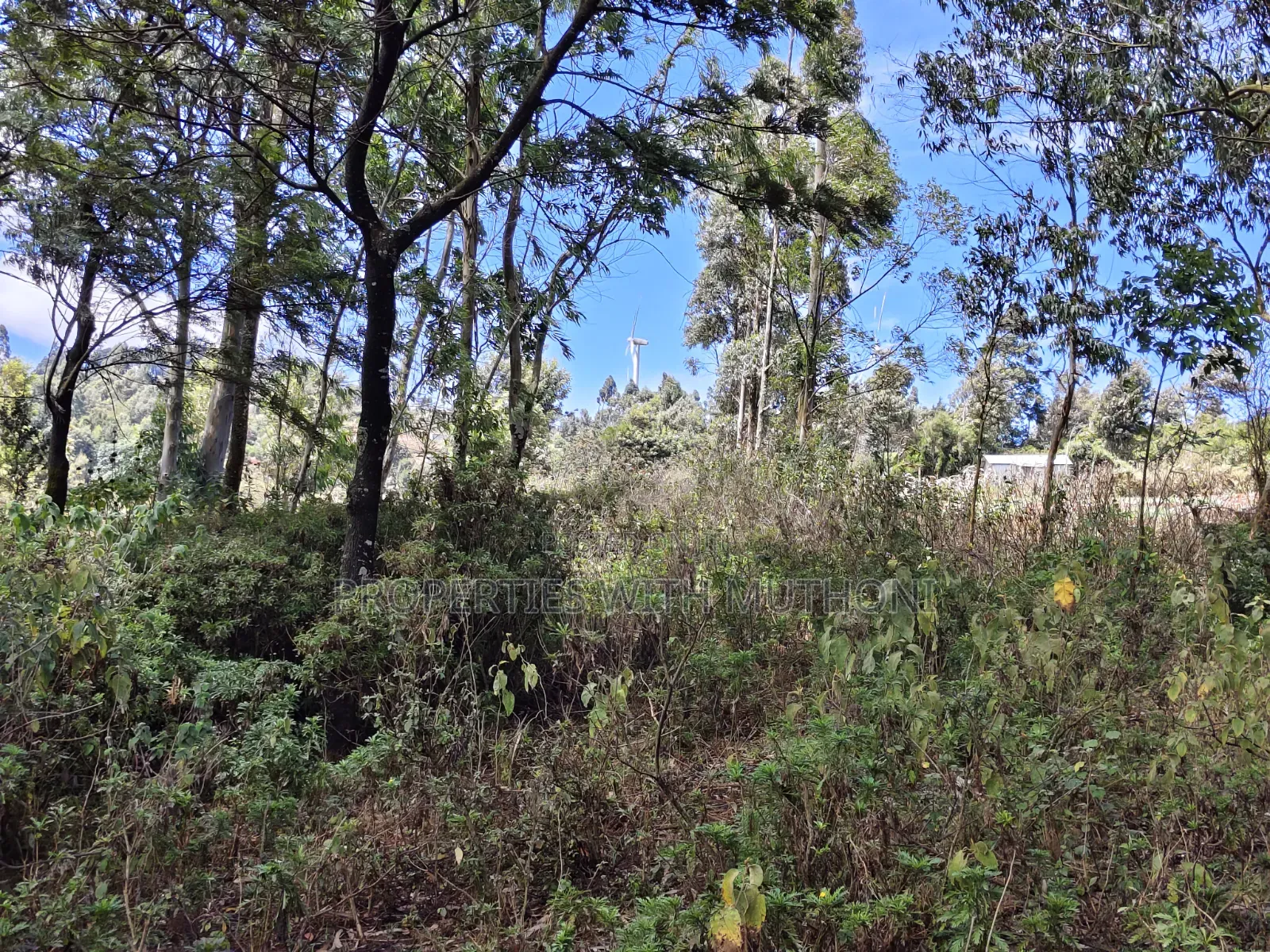 1 Acre for Sale in Lemiso Road, Ngong. in Kibiku