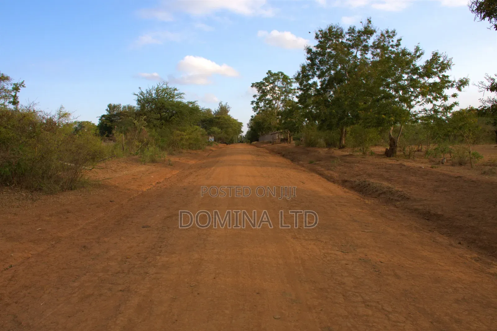 Oasis Garden Golimba. in Ngoliba