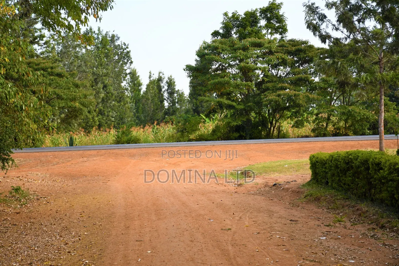 Oasis Garden Golimba. in Ngoliba