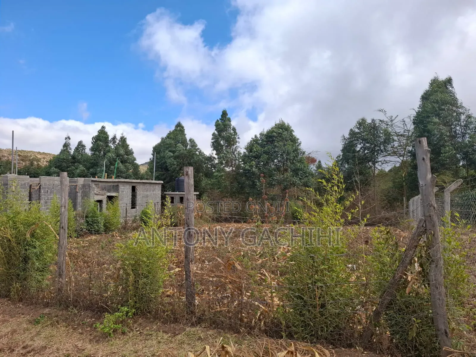 1/8 Land for Quick Sale - Near Developed Homes (Nguirubi, Ndeiya) in Ndeiya