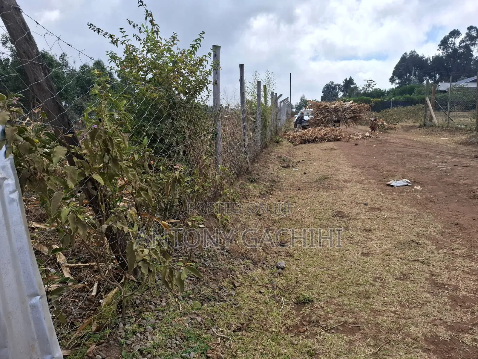 1/8 Land for Quick Sale - Near Developed Homes (Nguirubi, Ndeiya) in Ndeiya