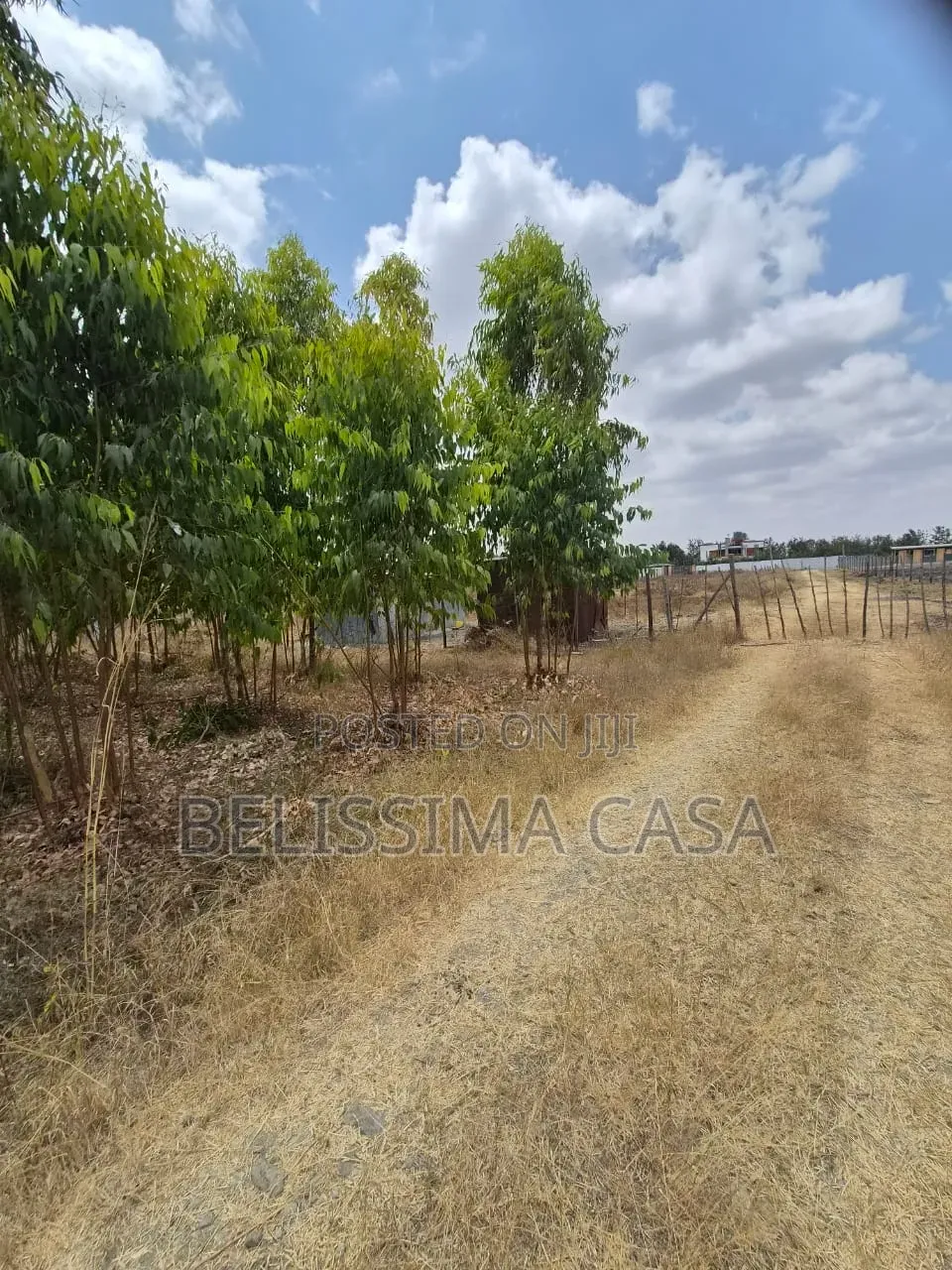 Prime 1/2 Acre Plots for Sale in Kisaju 2.5km From Tarmac in Kisaju