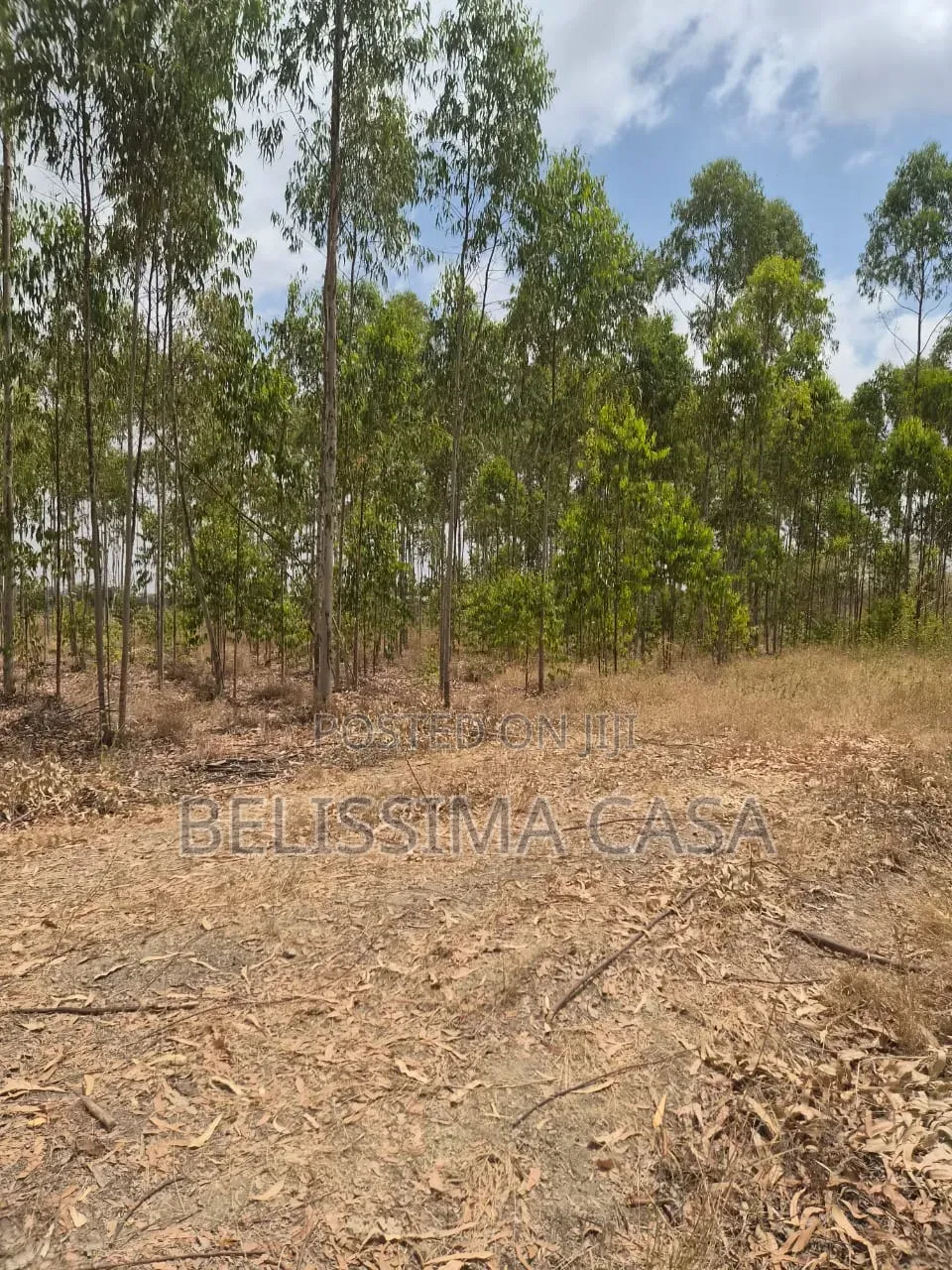 Prime 1/2 Acre Plots for Sale in Kisaju 2.5km From Tarmac in Kisaju