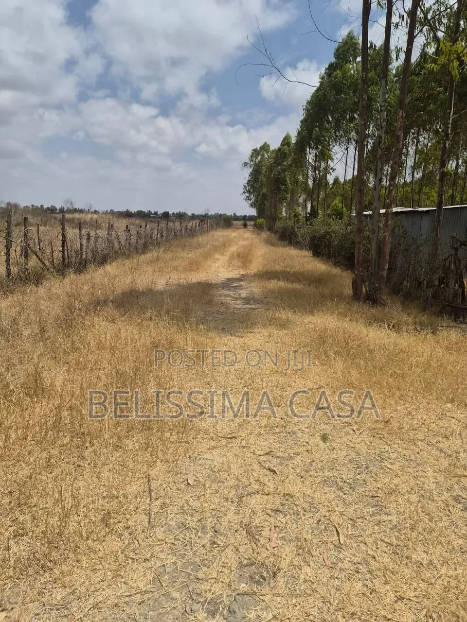 Prime 1/2 Acre Plots for Sale in Kisaju 2.5km From Tarmac in Kisaju