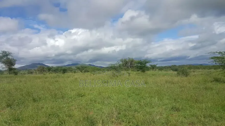 50 Acres for Sale in Bissil Kajiado | 3.5km FRM Namanga Hig | KSh in Kisaju