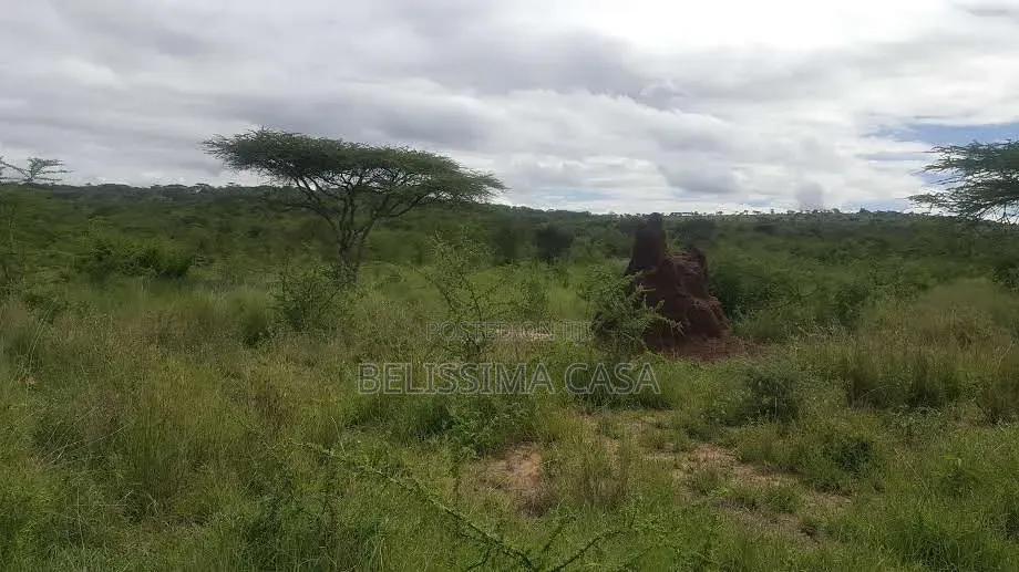 50 Acres for Sale in Bissil Kajiado | 3.5km FRM Namanga Hig | KSh in Kisaju