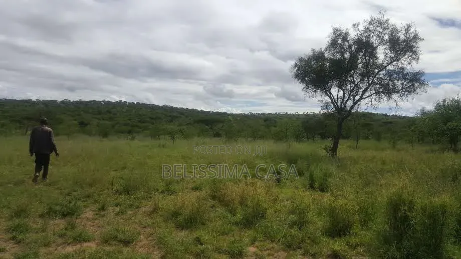 50 Acres for Sale in Bissil Kajiado | 3.5km FRM Namanga Hig | KSh in Kisaju