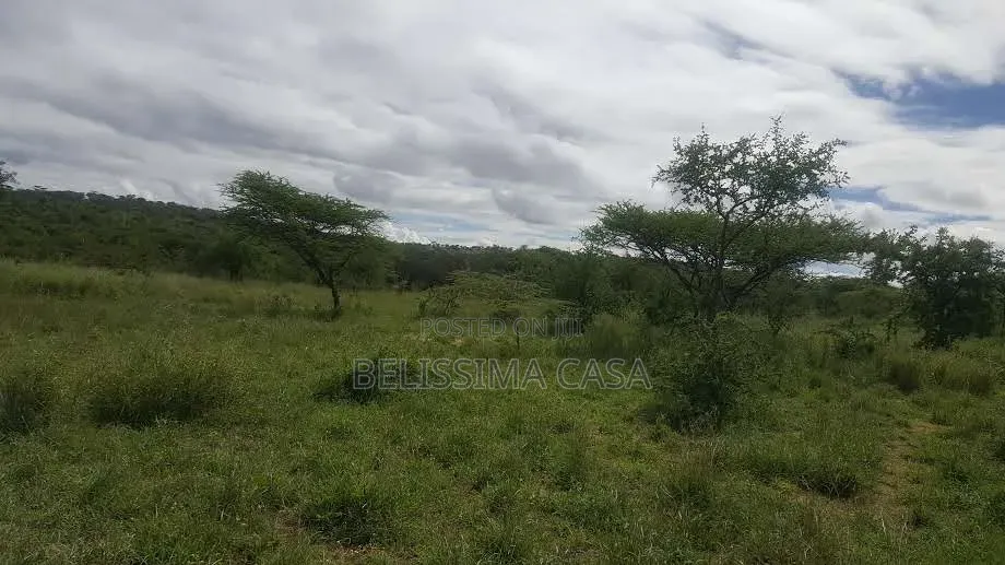 50 Acres for Sale in Bissil Kajiado | 3.5km FRM Namanga Hig | KSh in Kisaju