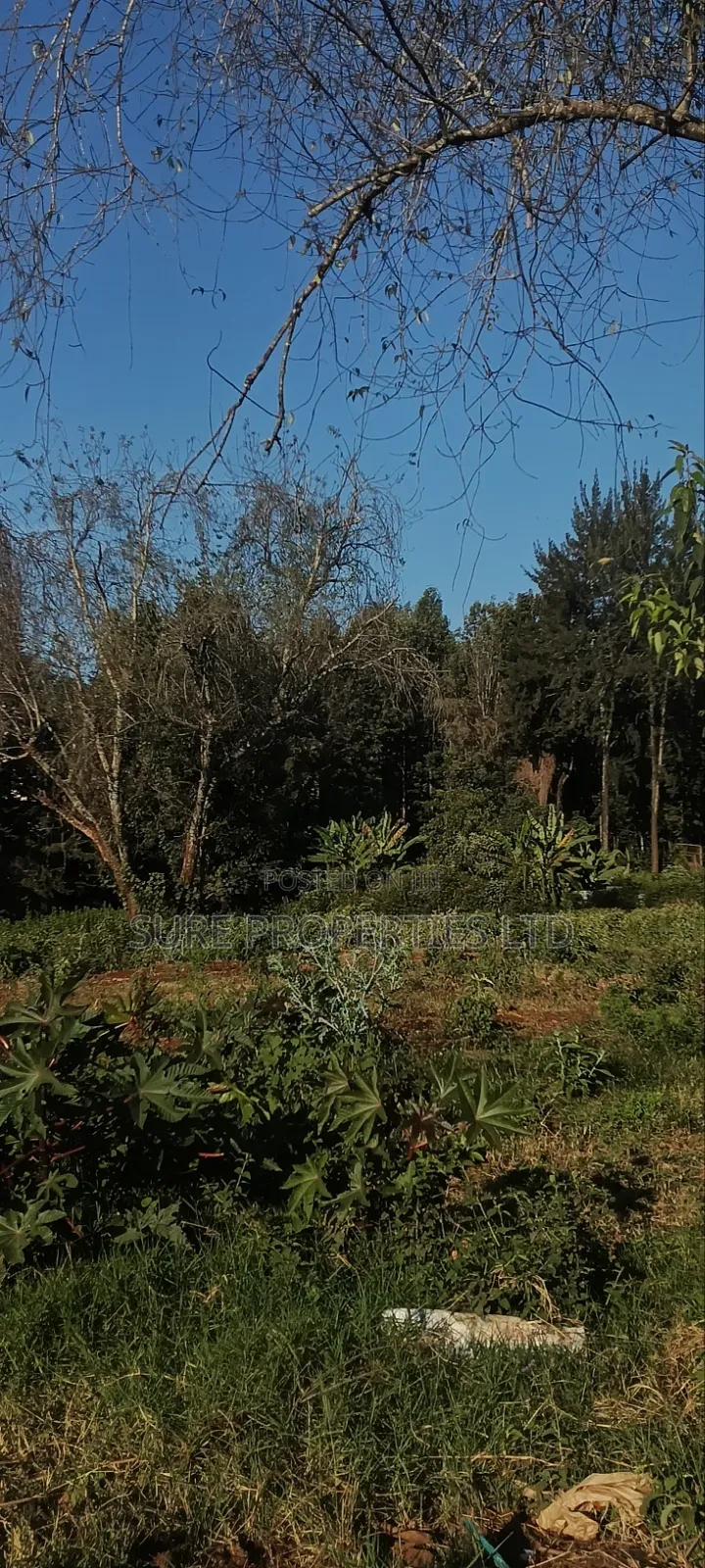 1 Acre on Kinoo Near St Peters Hospital in Kinoo