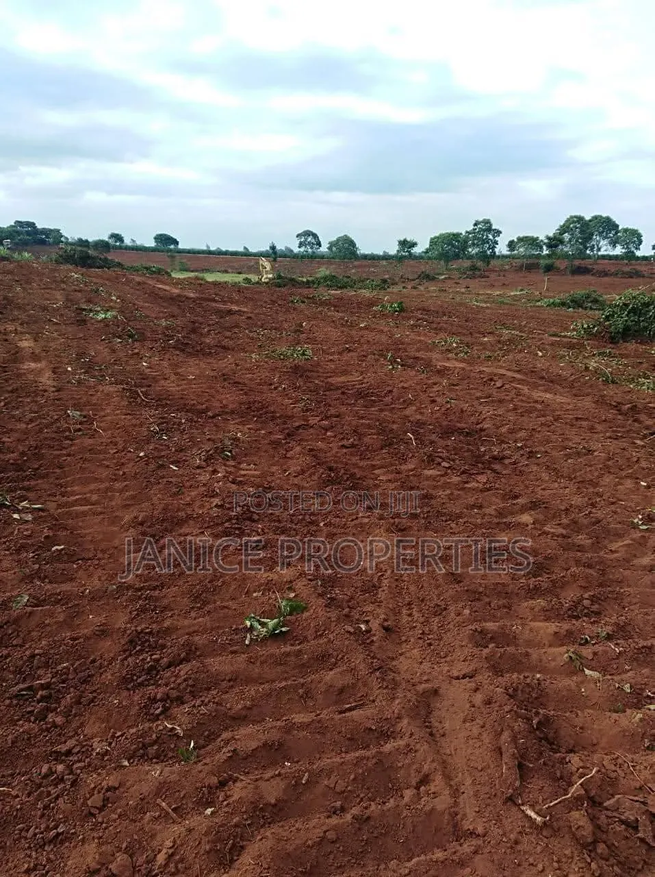 Secure Your 1/4 Acre Today! Experience Luxury Living at Karunguru in Kenyatta Road / Theta