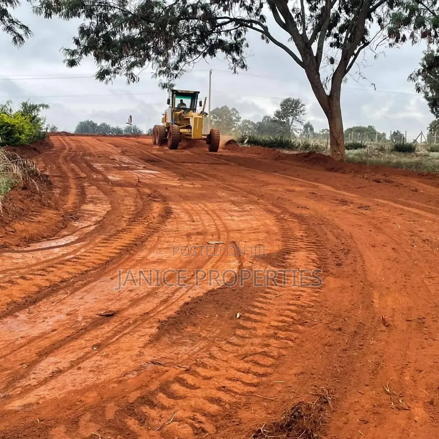 Secure Your 1/4 Acre Today! Experience Luxury Living at Karunguru in Kenyatta Road / Theta