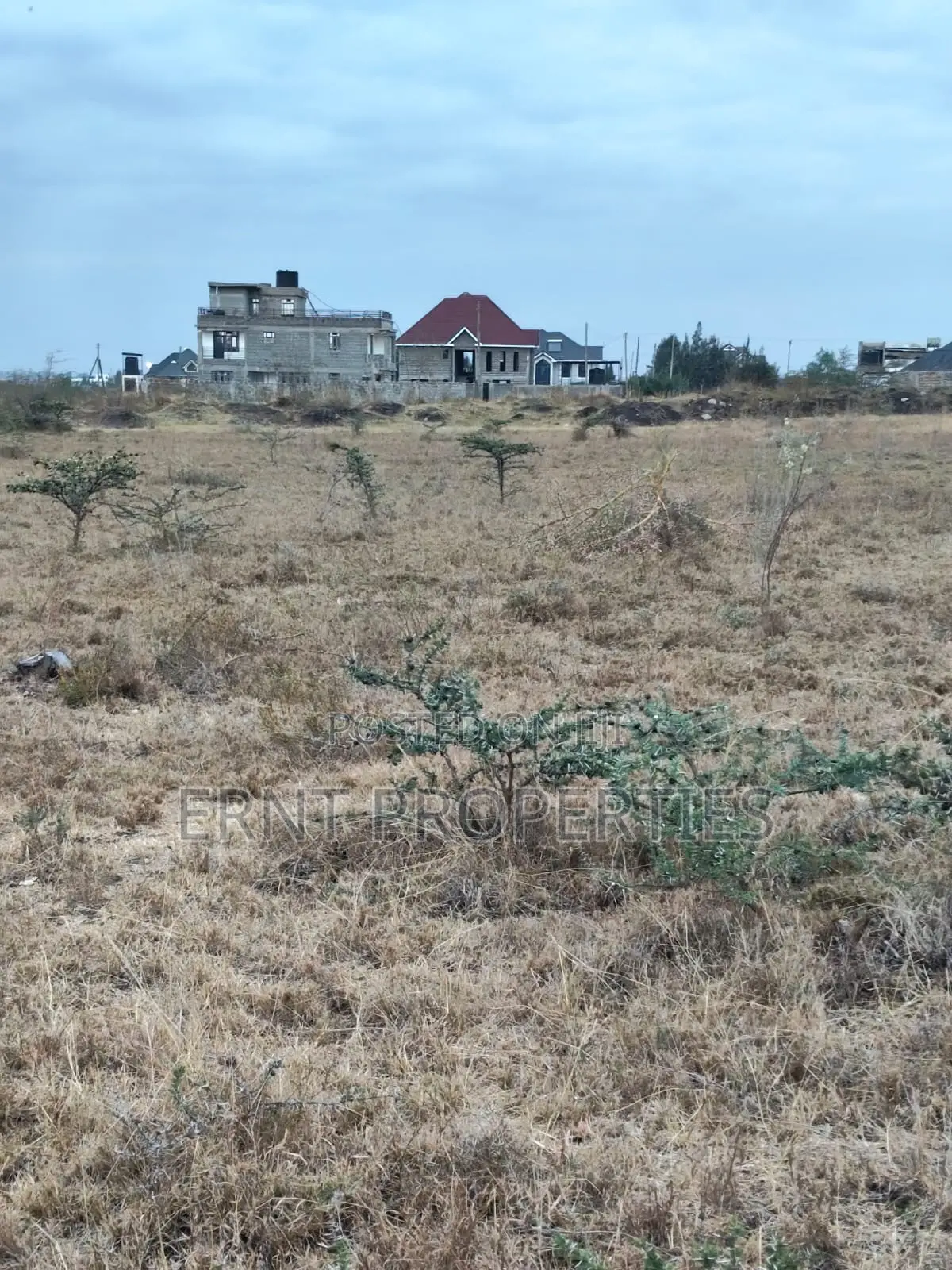 Distress Deal Alert - 2 Prime Acres in Kitengela in Kitengela