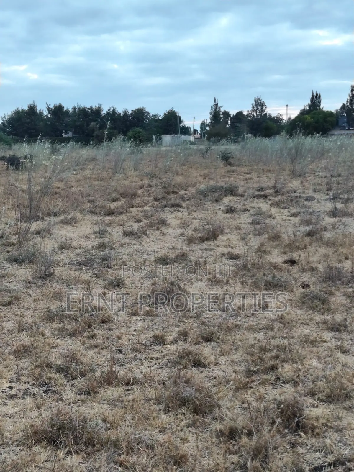 Distress Deal Alert - 2 Prime Acres in Kitengela in Kitengela