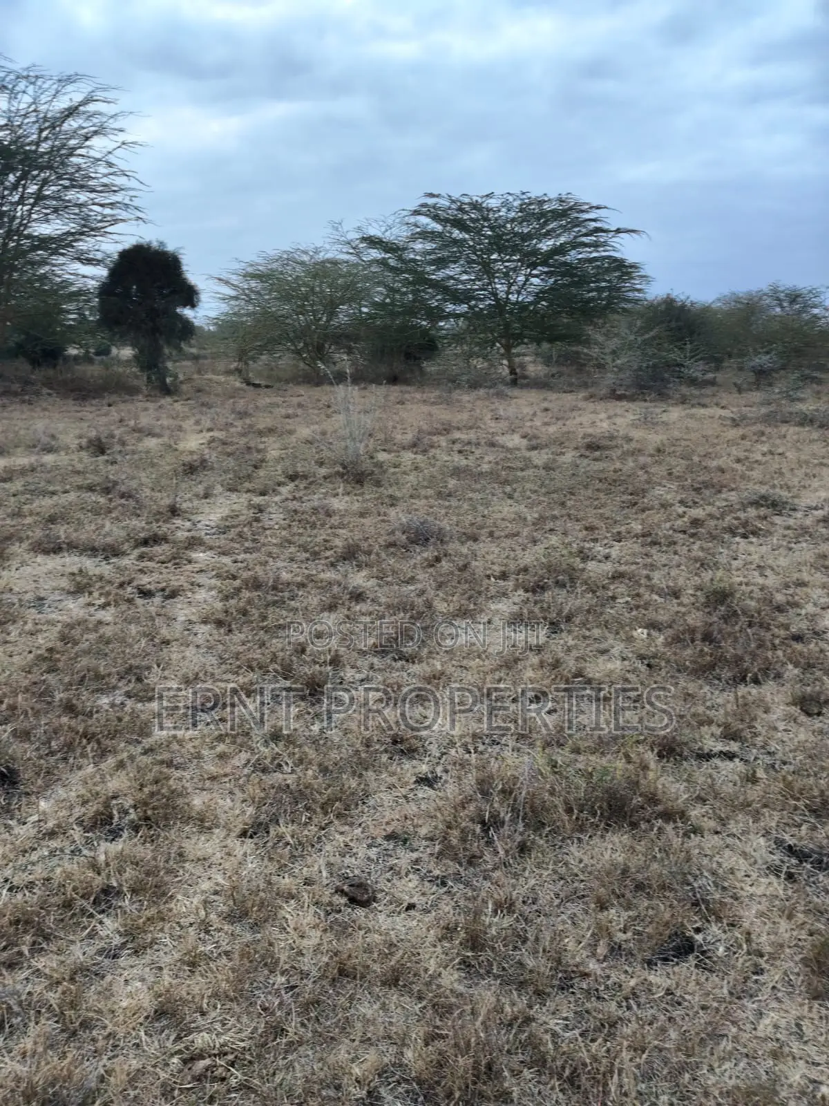 Distress Deal Alert - 2 Prime Acres in Kitengela in Kitengela