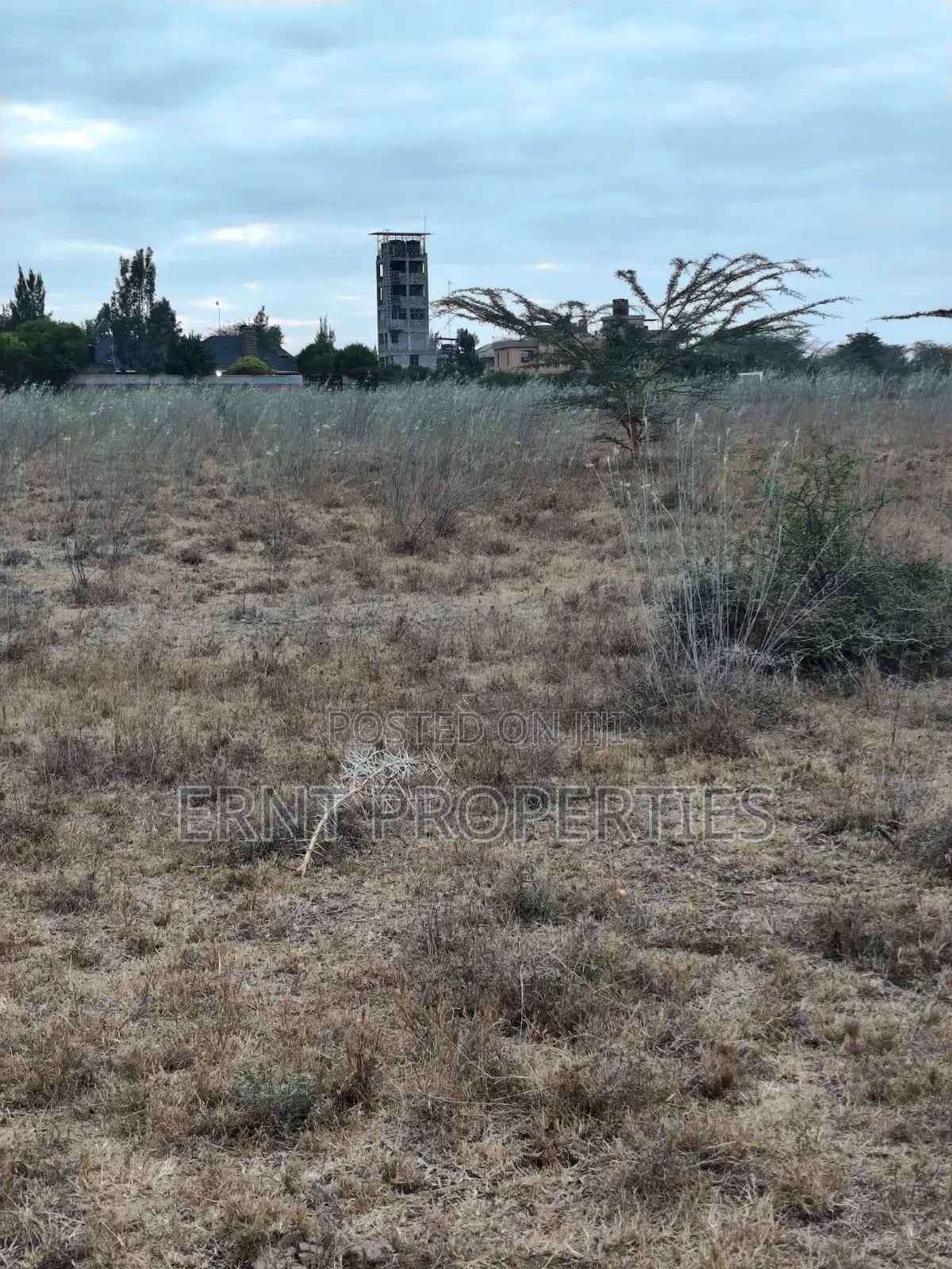 Distress Deal Alert - 2 Prime Acres in Kitengela in Kitengela