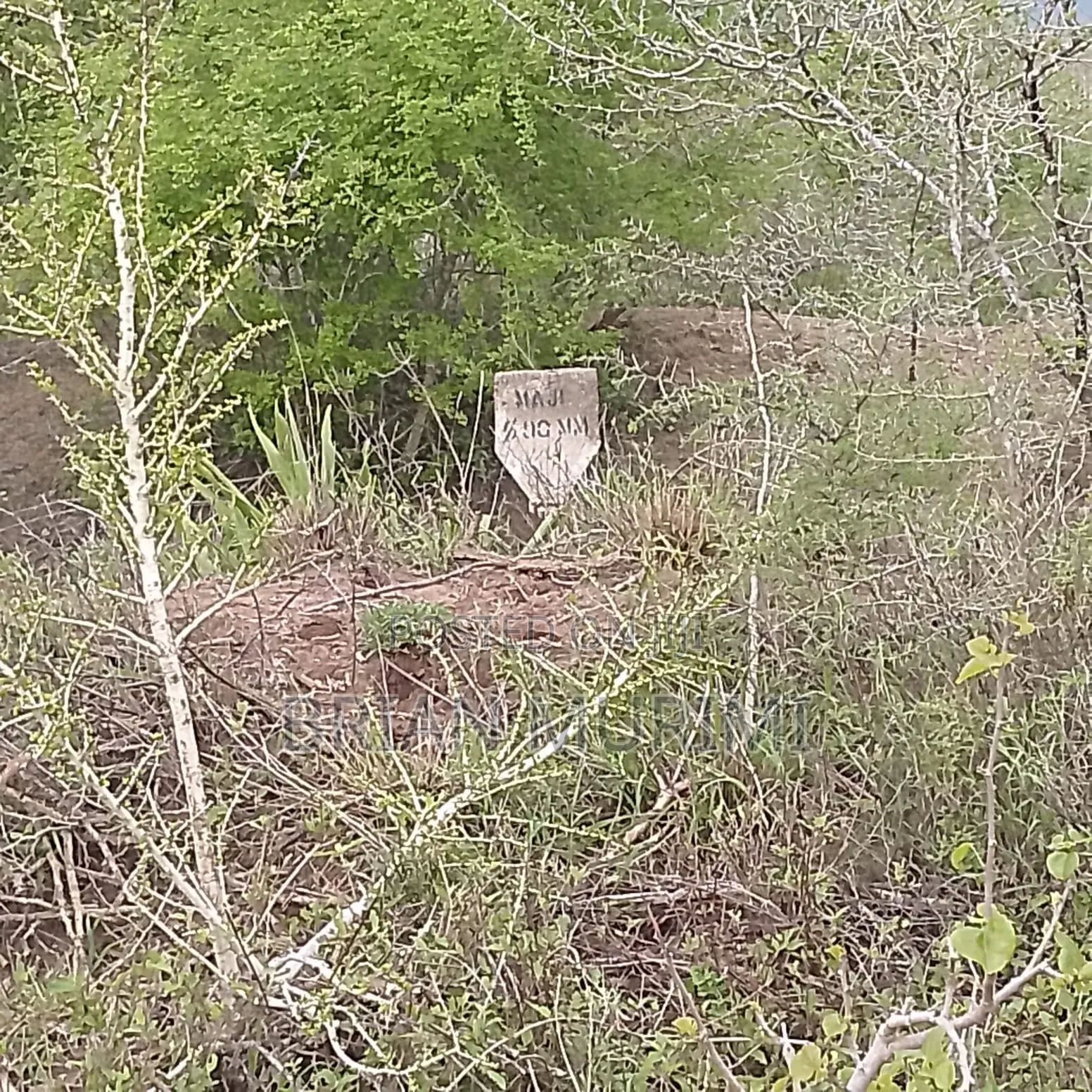 Ganze Malindi 300 Acres in Jilore