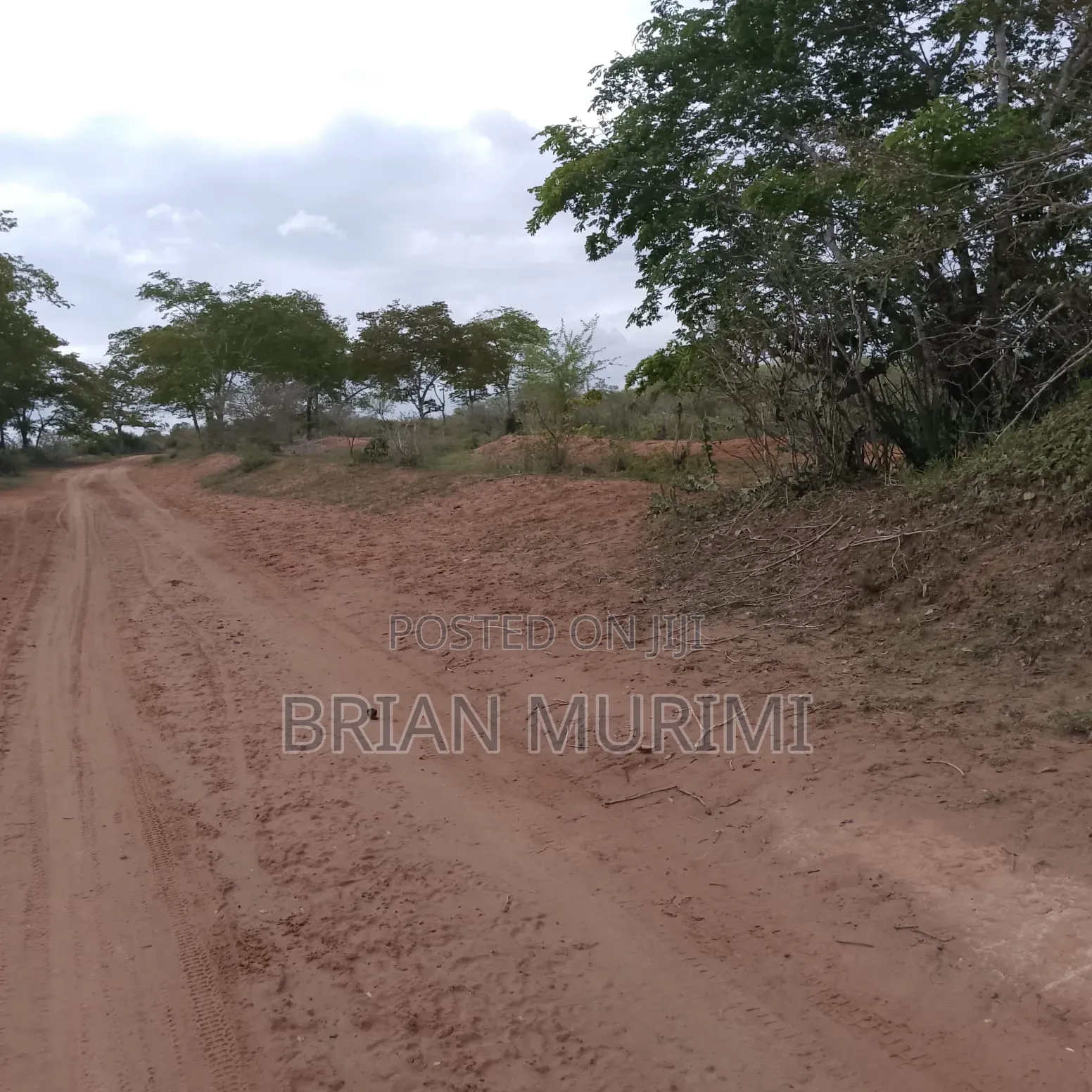 Ganze Malindi 300 Acres in Jilore