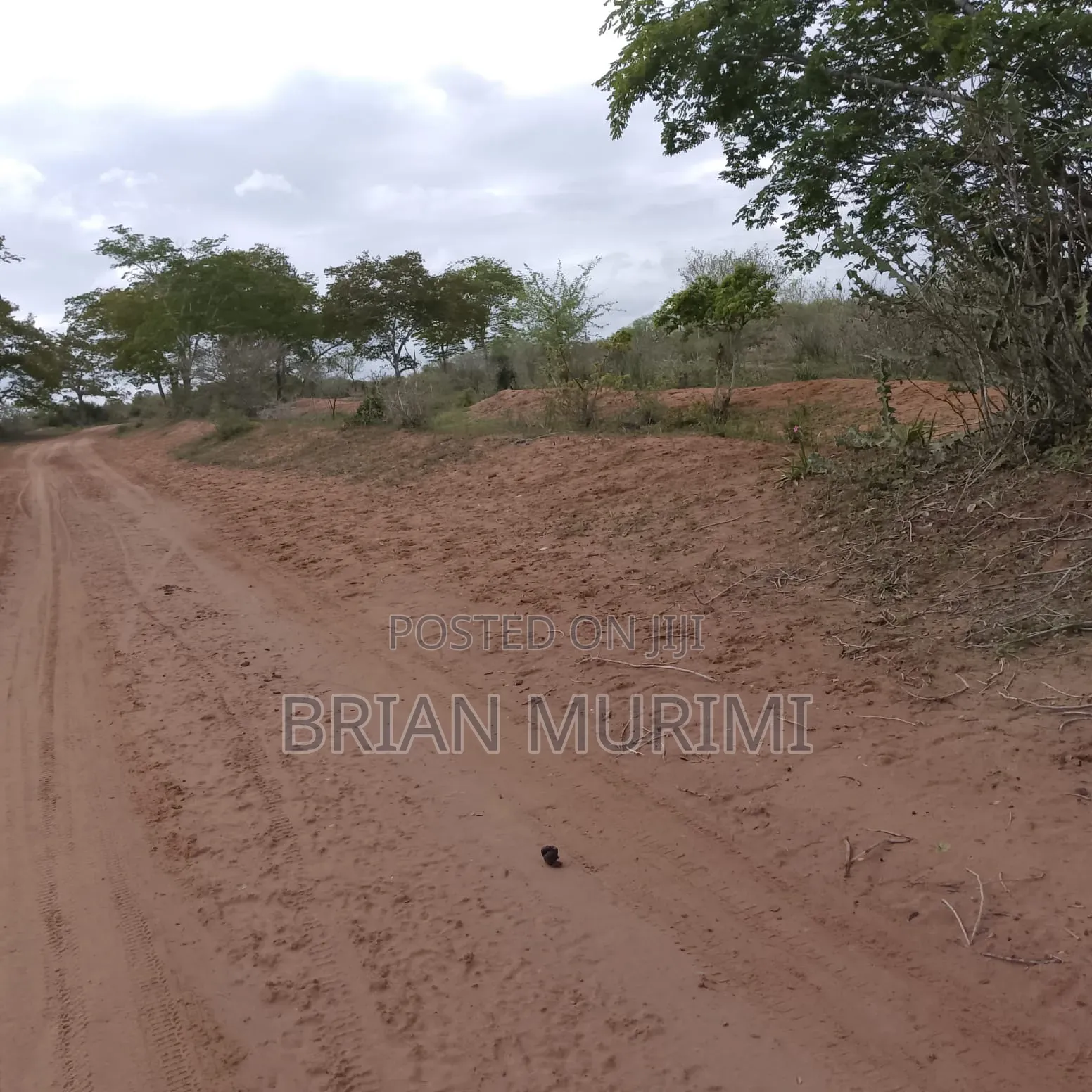 Ganze Malindi 300 Acres in Jilore