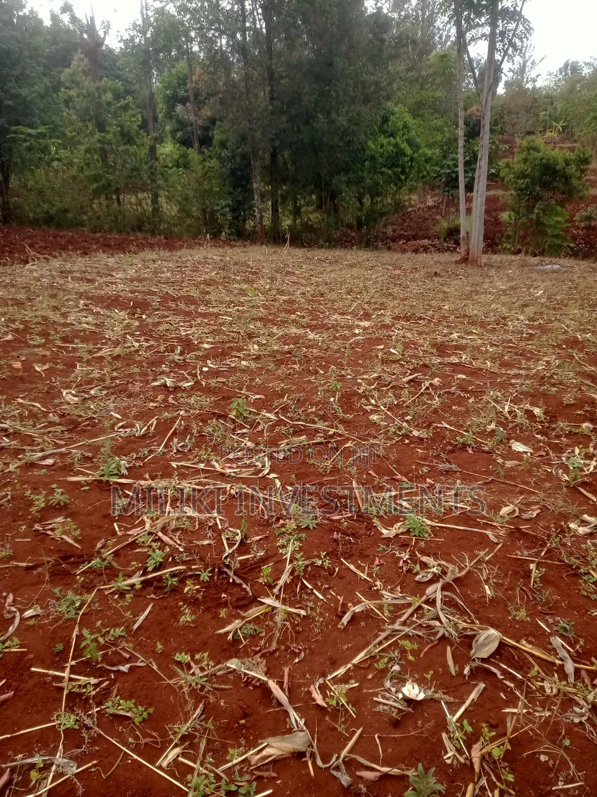1 Acre of Land on Sale at Murang,a -Kigumo in Kigumo