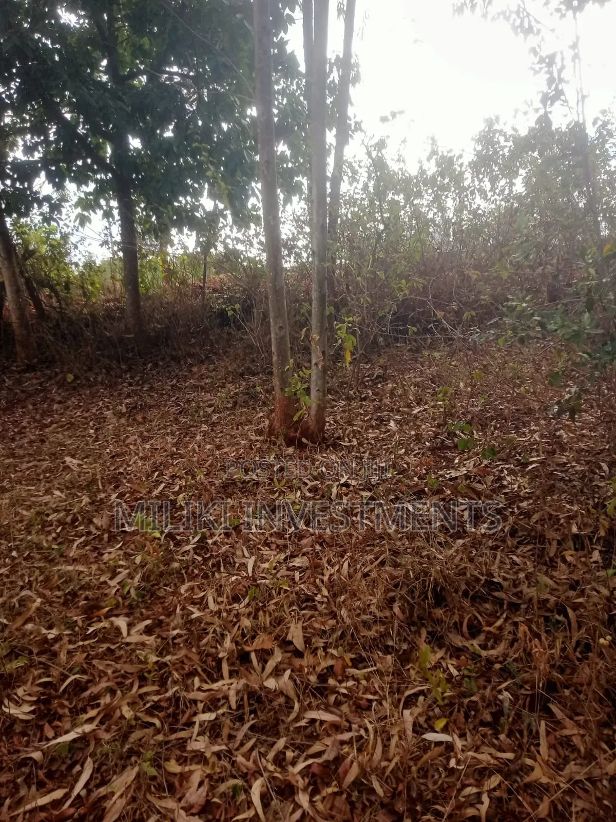 1 Acre of Land on Sale at Murang,a -Kigumo in Kigumo