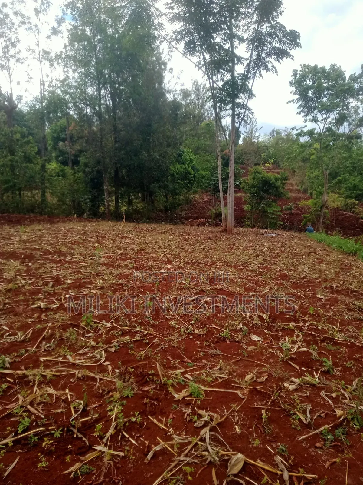 1 Acre of Land on Sale at Murang,a -Kigumo in Kigumo