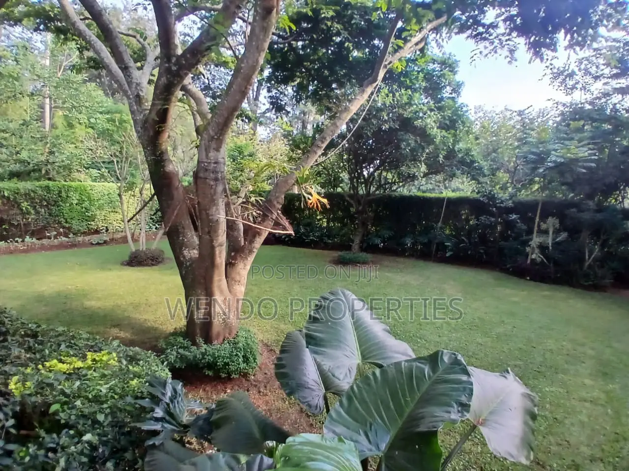 3bdrm Bungalow in Karen C for rent in Karen C