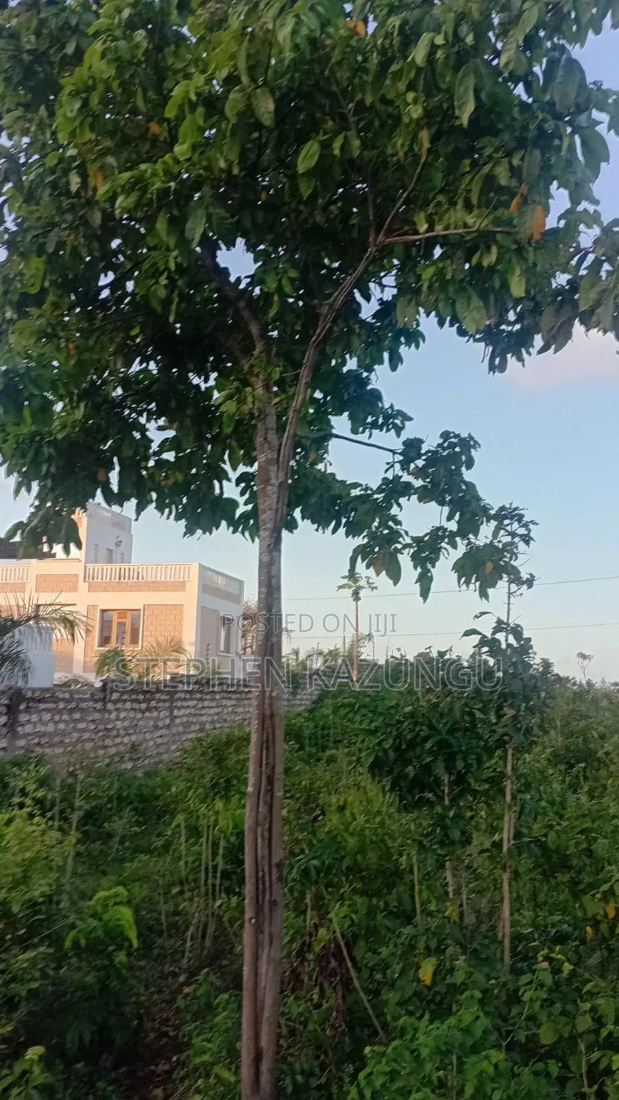 Almost 1 Acre Plot T Galu Beach or 3500 Square Metres in Size on Sale in Ukunda