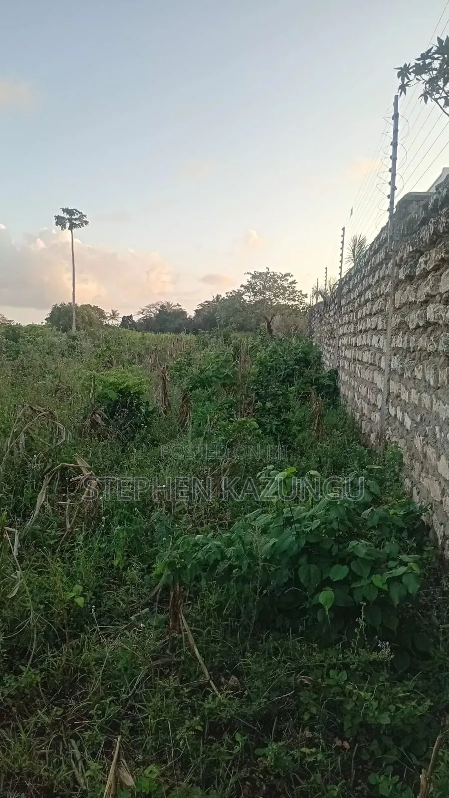Almost 1 Acre Plot T Galu Beach or 3500 Square Metres in Size on Sale in Ukunda
