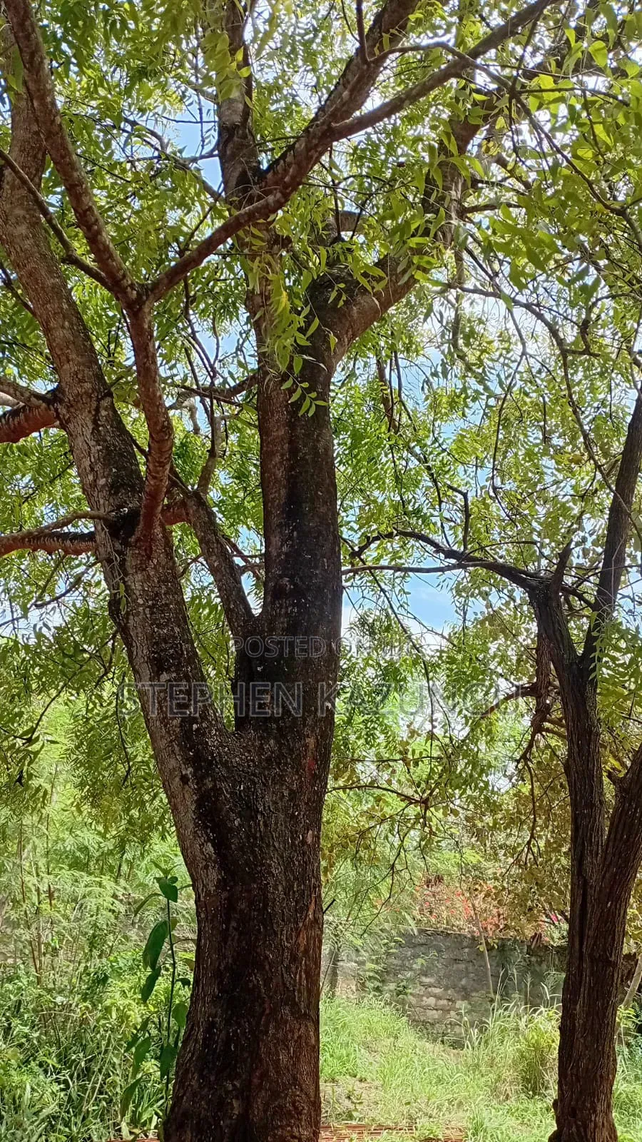 Galu Beach-Front 1/4 Acre Plot Only 100 Metres From the Sea Water. in Ukunda