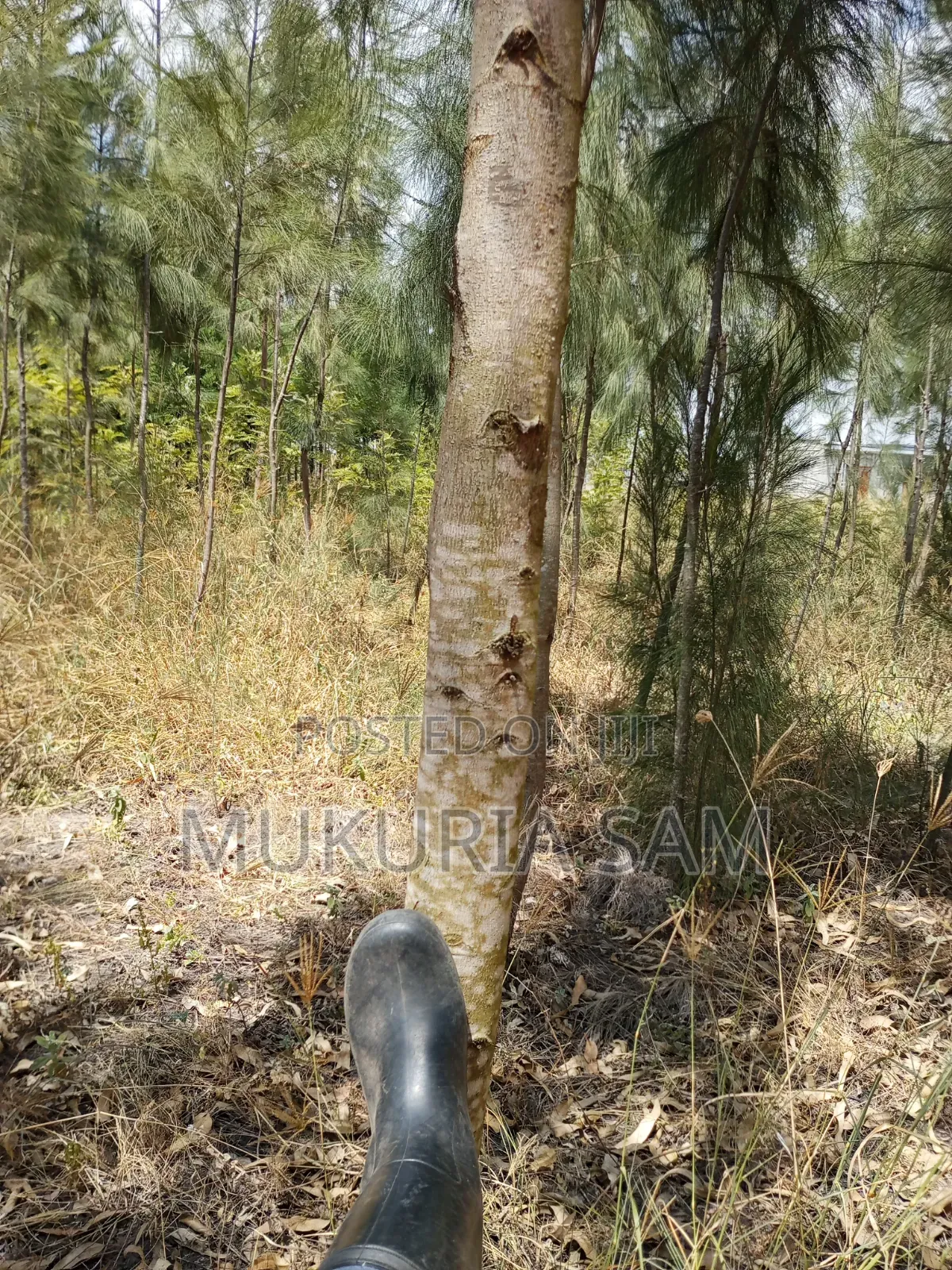 Half Acre Piece of Land Rangau in Oloosirkon/Sholinke