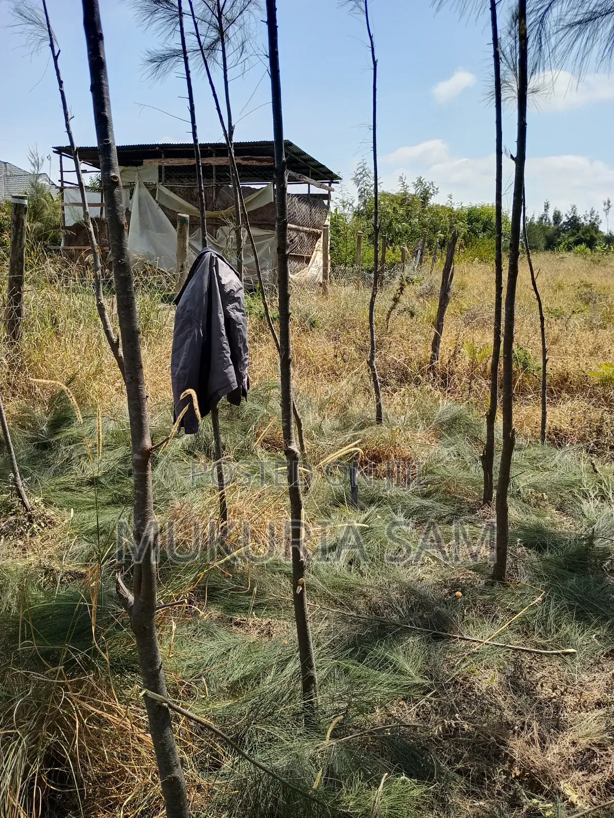 Half Acre Piece of Land Rangau in Oloosirkon/Sholinke