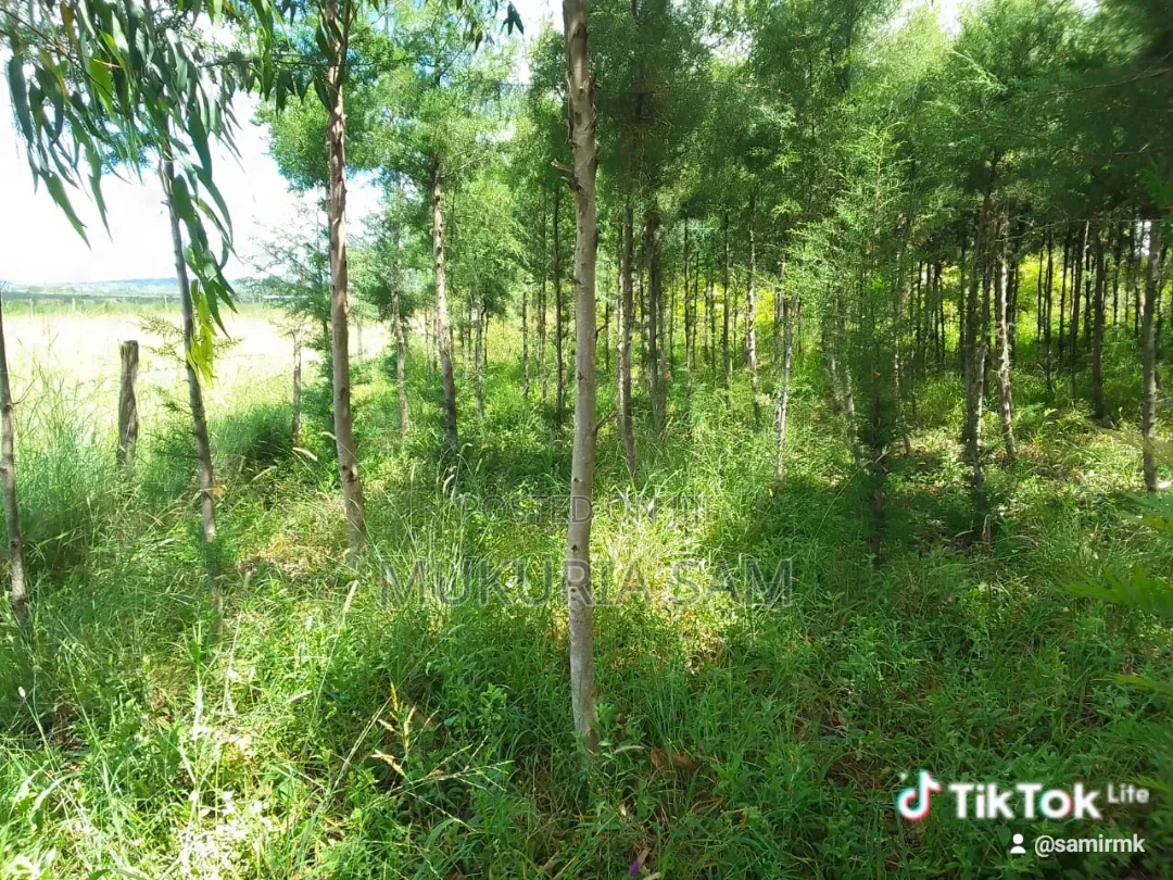 Half Acre Piece of Land Rangau in Oloosirkon/Sholinke