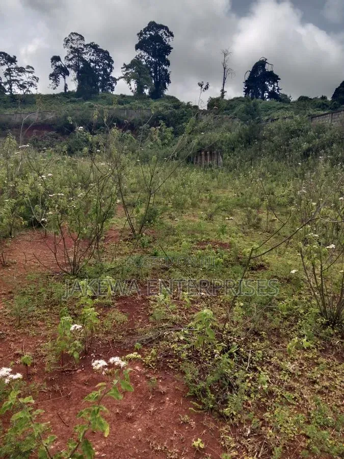 50*100 Plot Naivasha Nakuru Highway in Nairobi Central