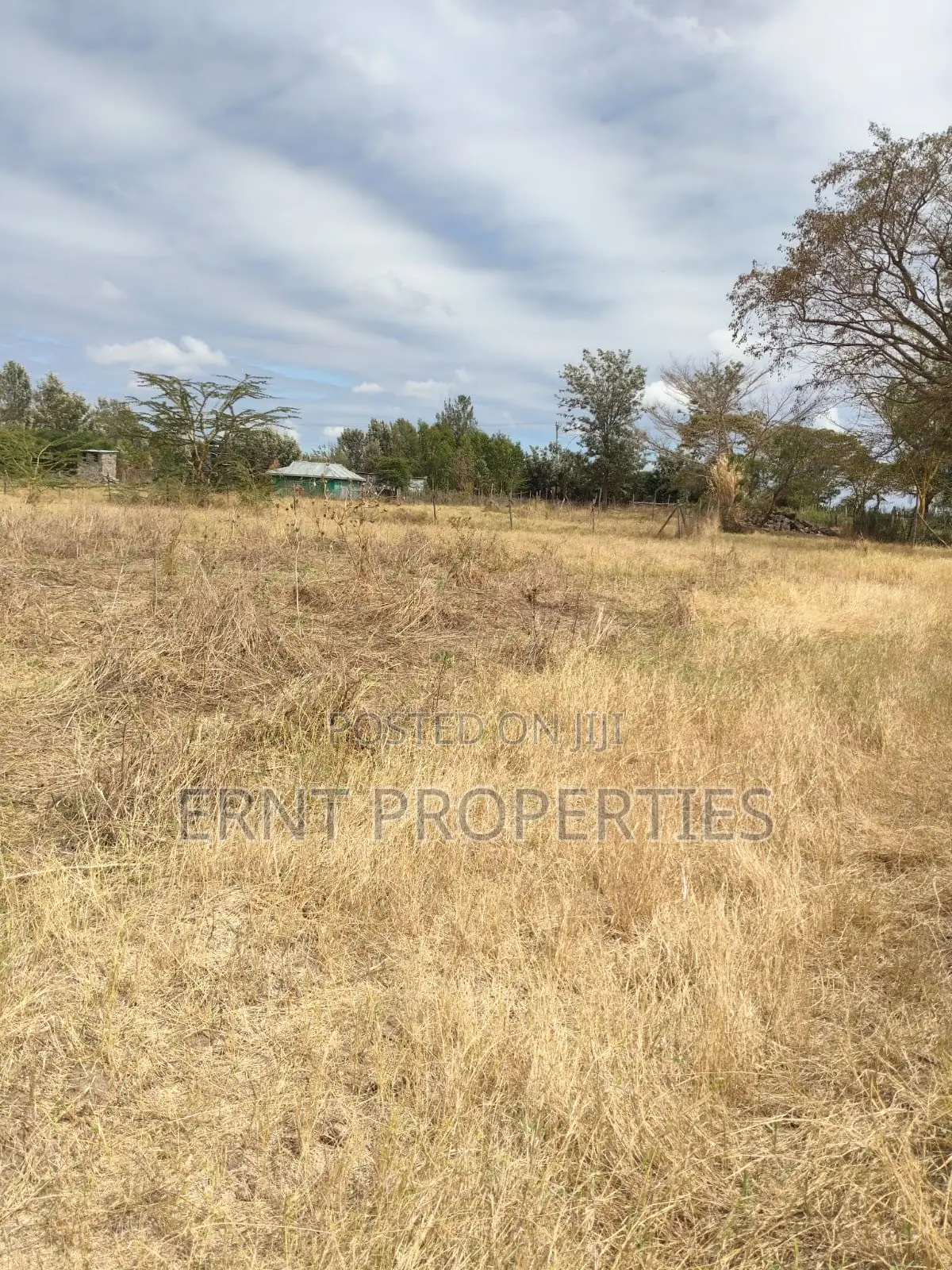 Lucky Base, Kitengela Korompoi 50 by 100 in Kitengela