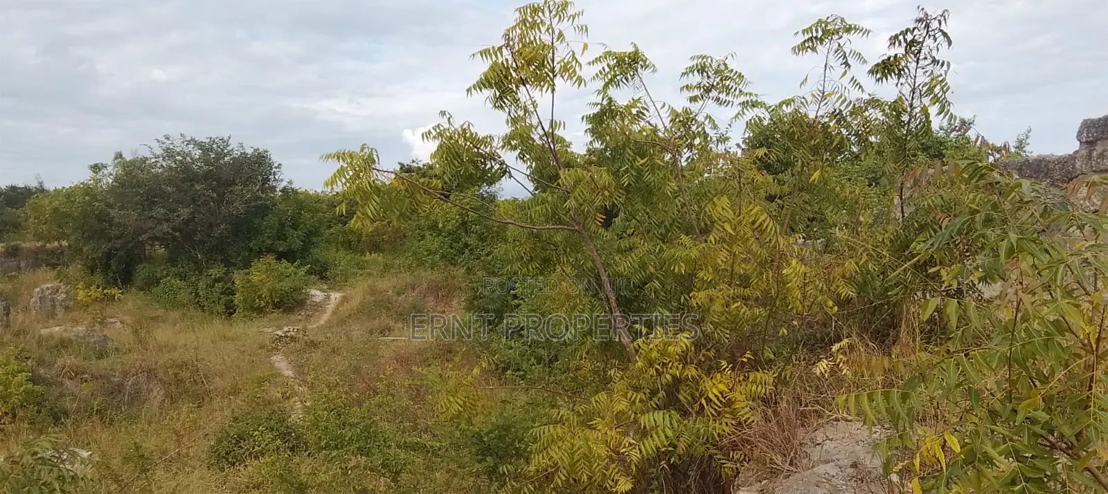 4.3-Acre Beachfront Property for Sale | Tiwi, Kwale in Kwale