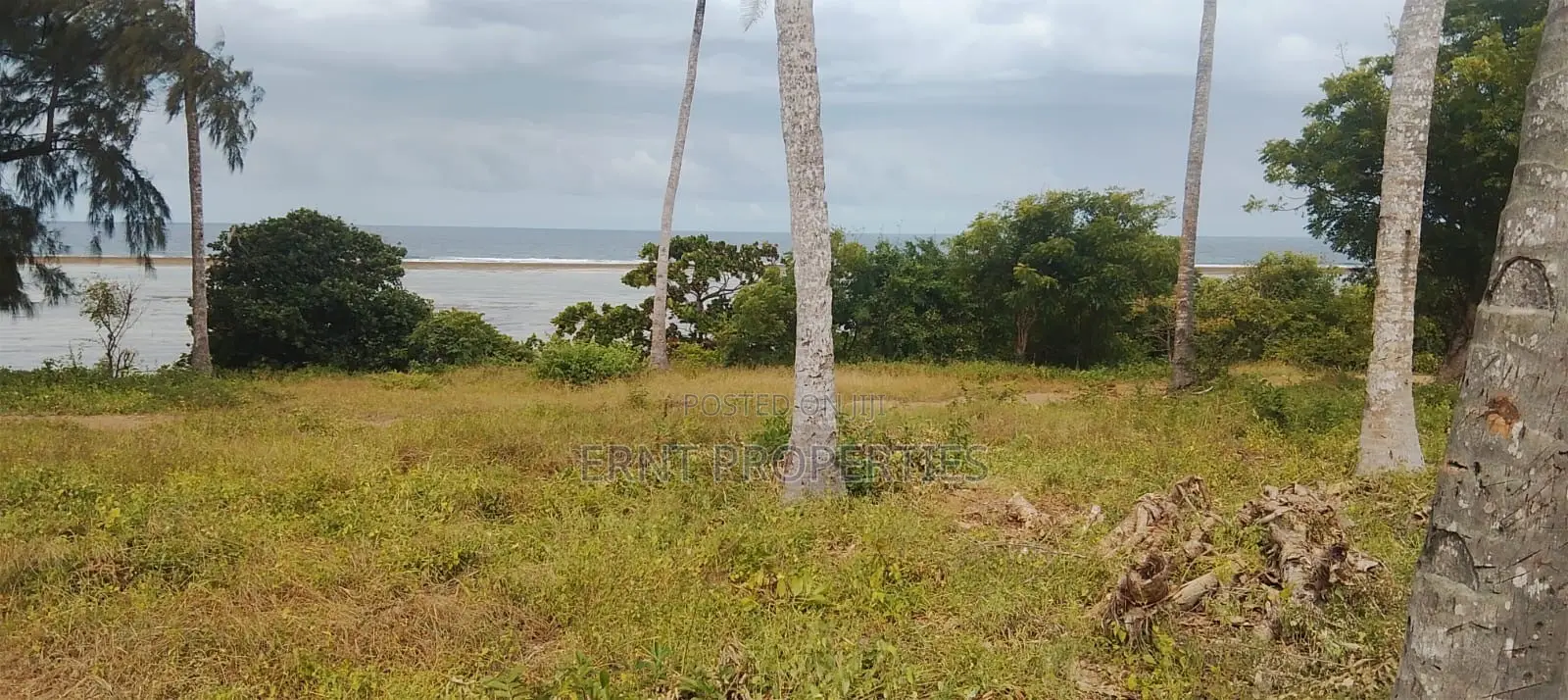 4.3-Acre Beachfront Property for Sale | Tiwi, Kwale in Kwale