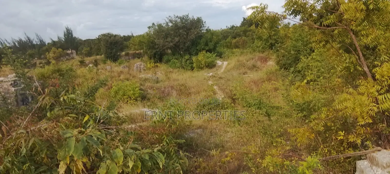 4.3-Acre Beachfront Property for Sale | Tiwi, Kwale in Kwale