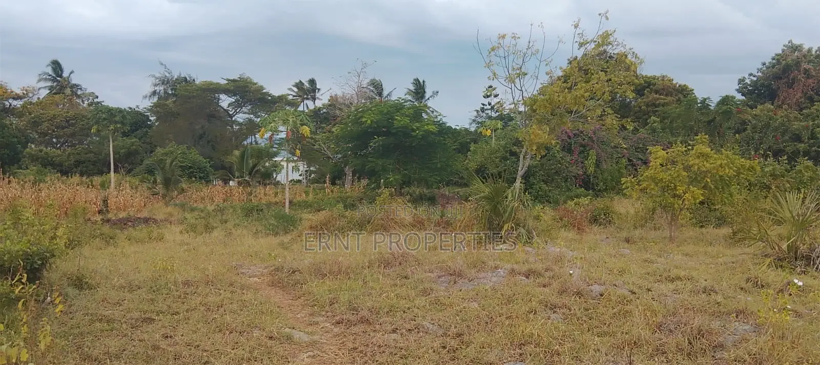 4.3-Acre Beachfront Property for Sale | Tiwi, Kwale in Kwale
