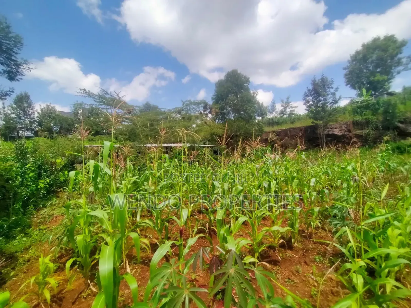 Eigth for Sale in Kerarapon