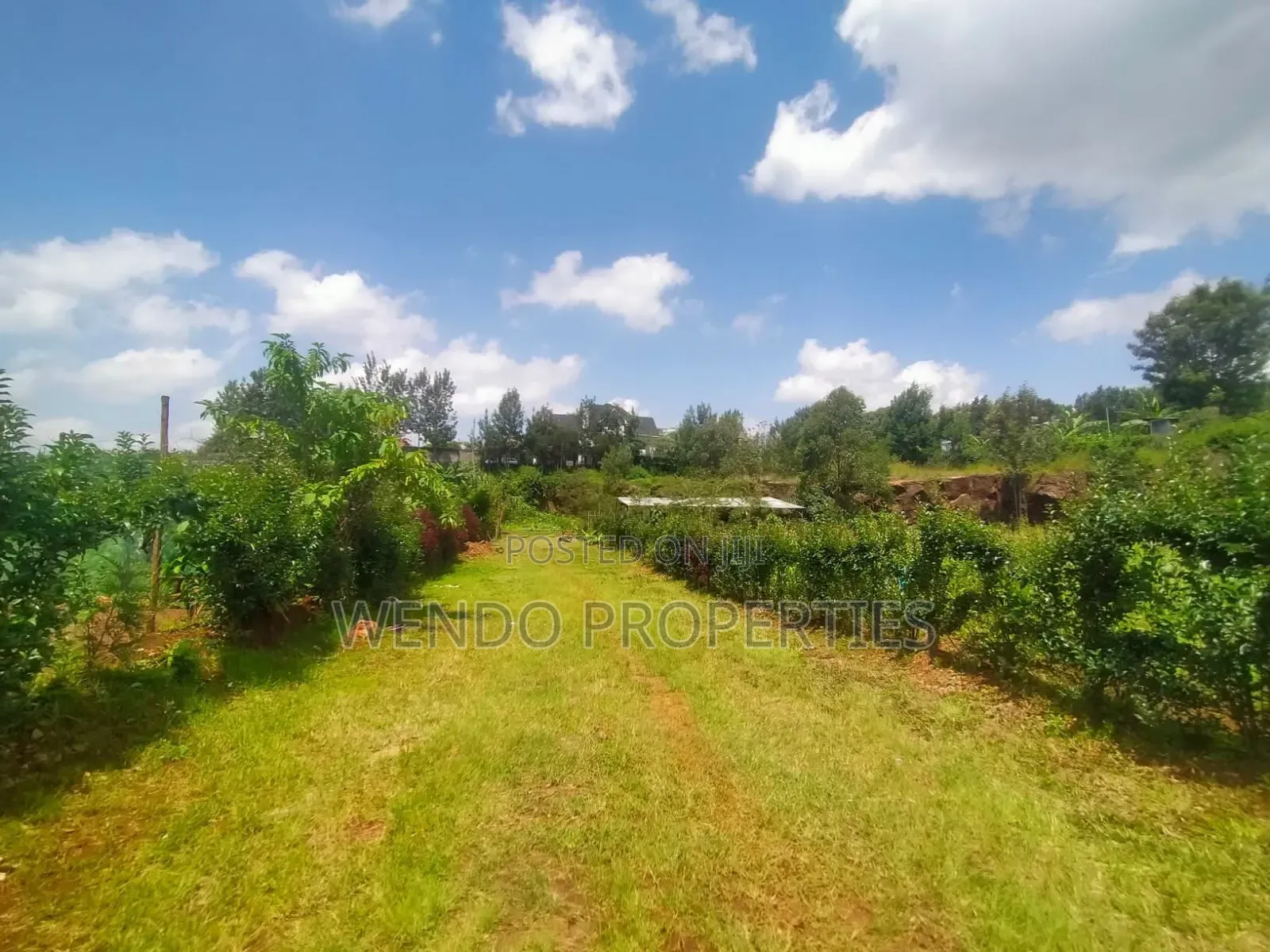 Eigth for Sale in Kerarapon