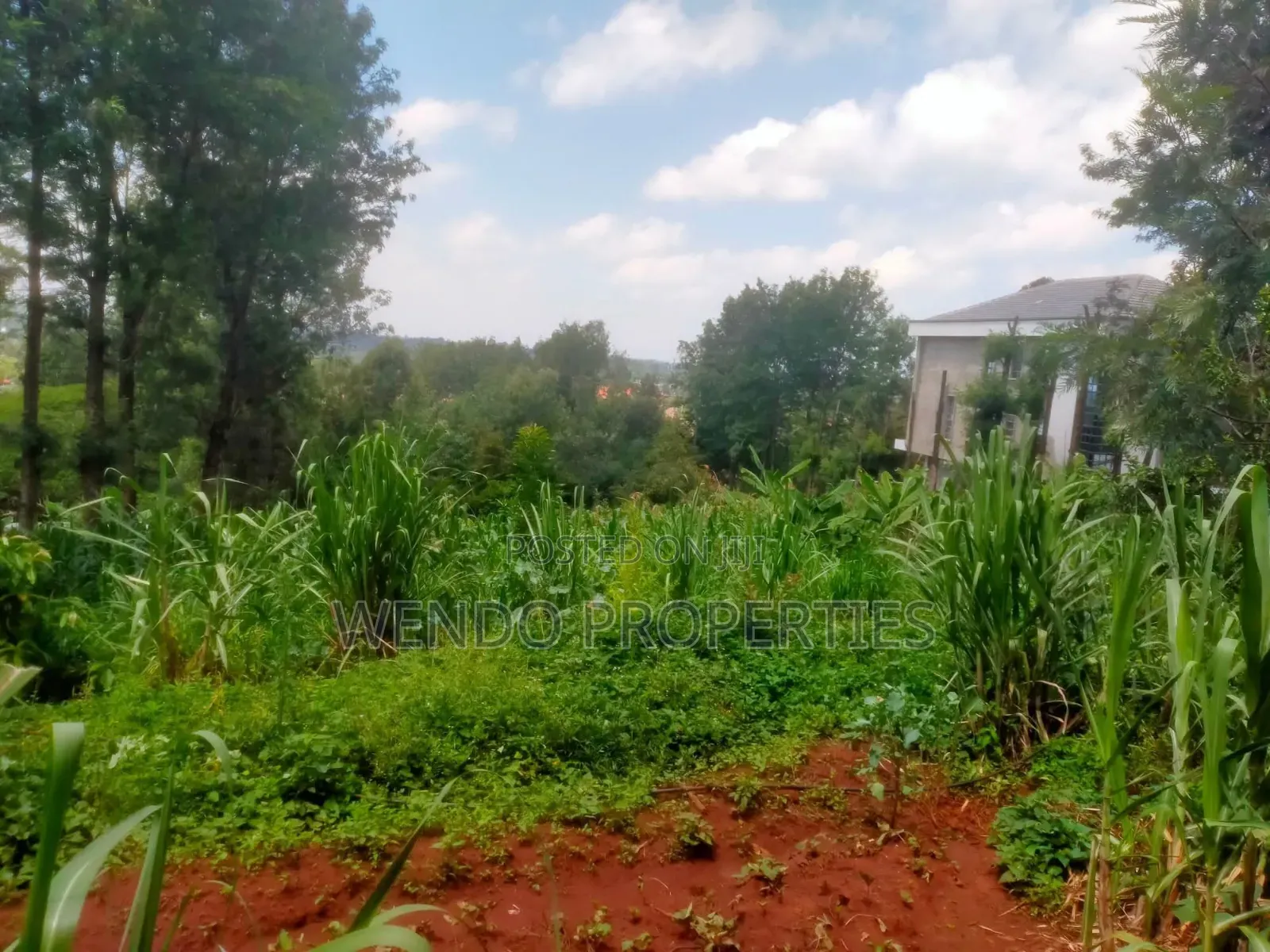 Quarter Acre for Sale in Kerarapon