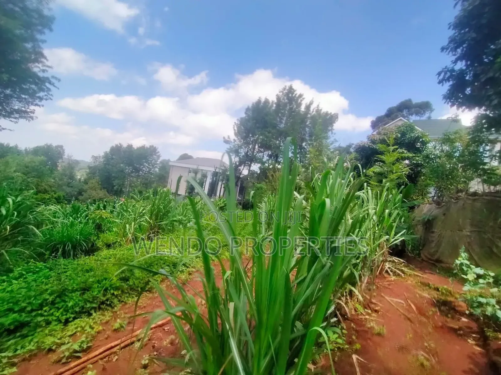 Quarter Acre for Sale in Kerarapon