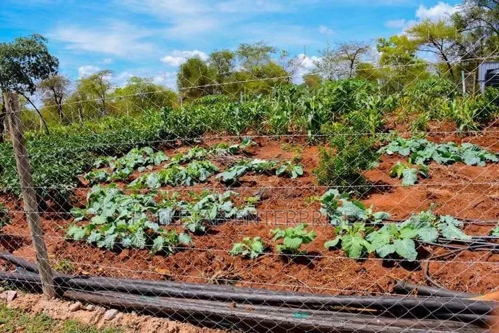 50*100 Plot in Nairobi Central