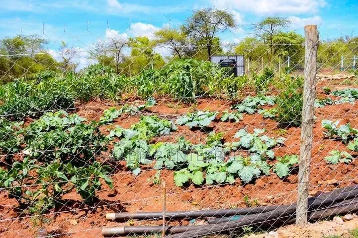 50*100 Plot in Nairobi Central