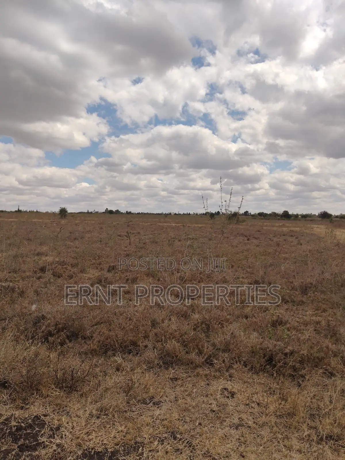 Kisaju Prime 10 Acres - Developer's Dream Deal! in Kisaju