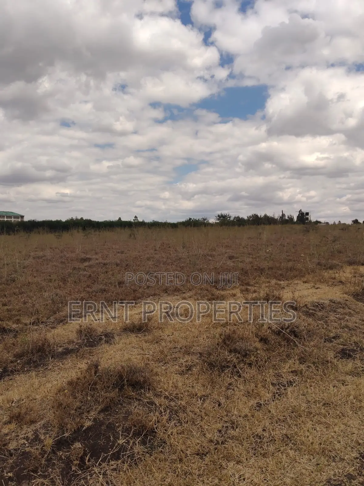 Kisaju Prime 10 Acres - Developer's Dream Deal! in Kisaju