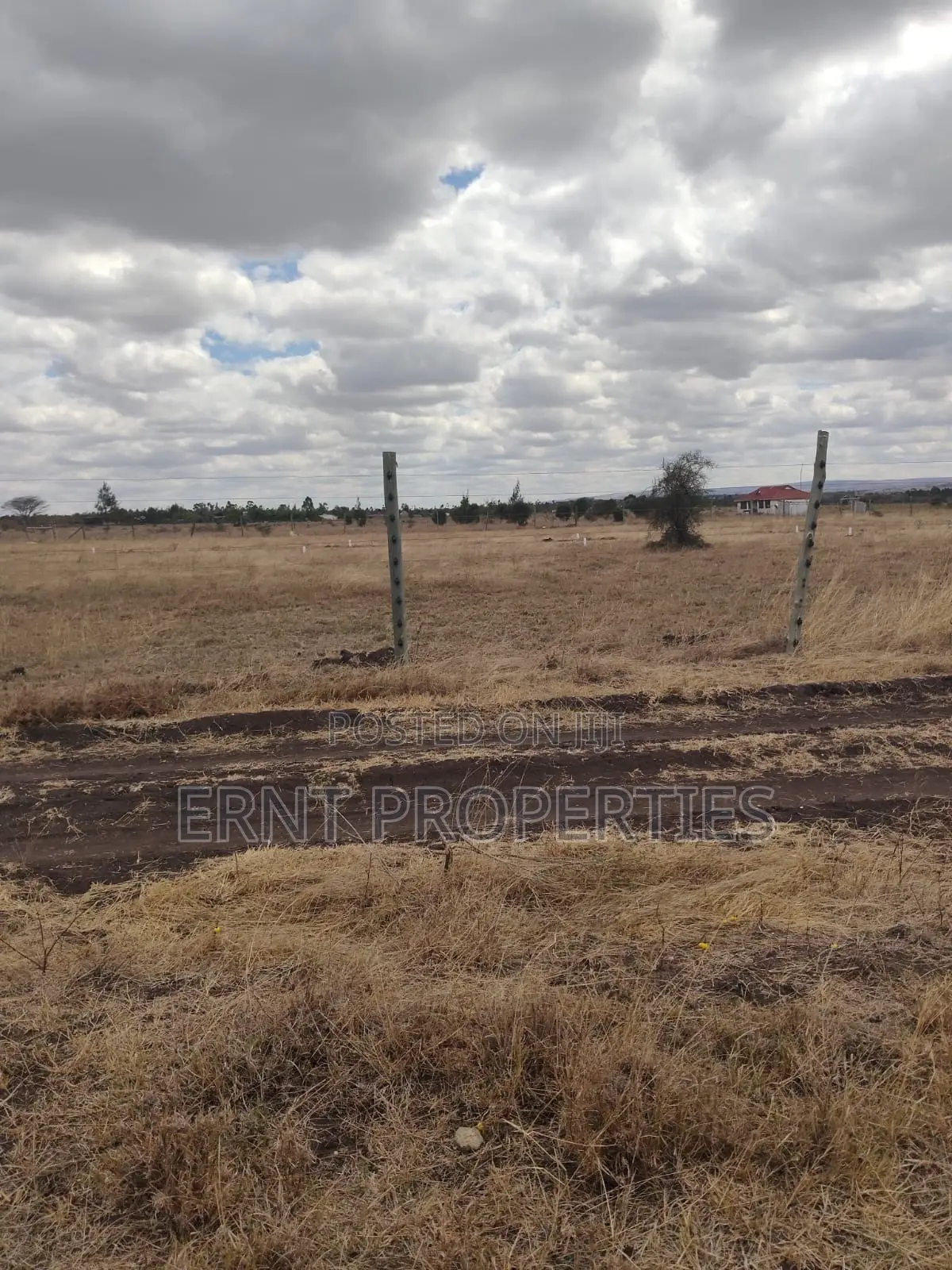 Kisaju Prime 10 Acres - Developer's Dream Deal! in Kisaju