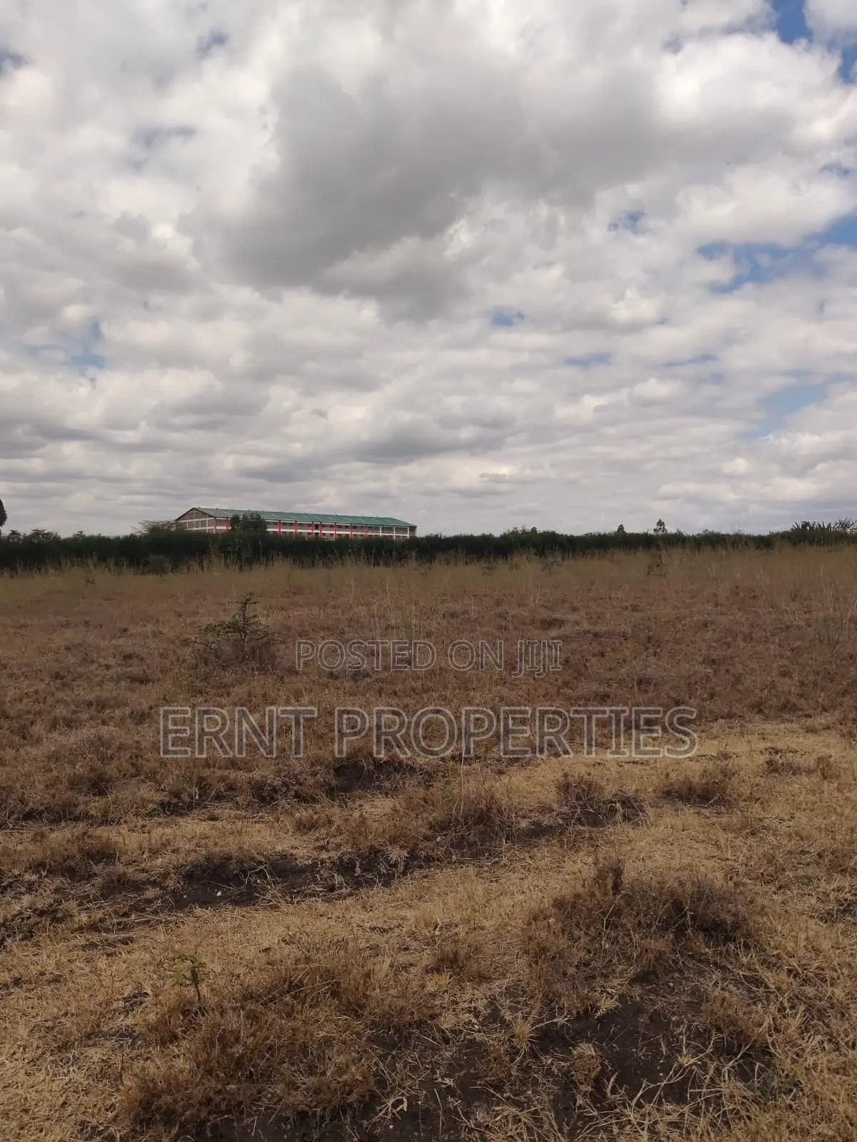 Kisaju Prime 10 Acres - Developer's Dream Deal! in Kisaju