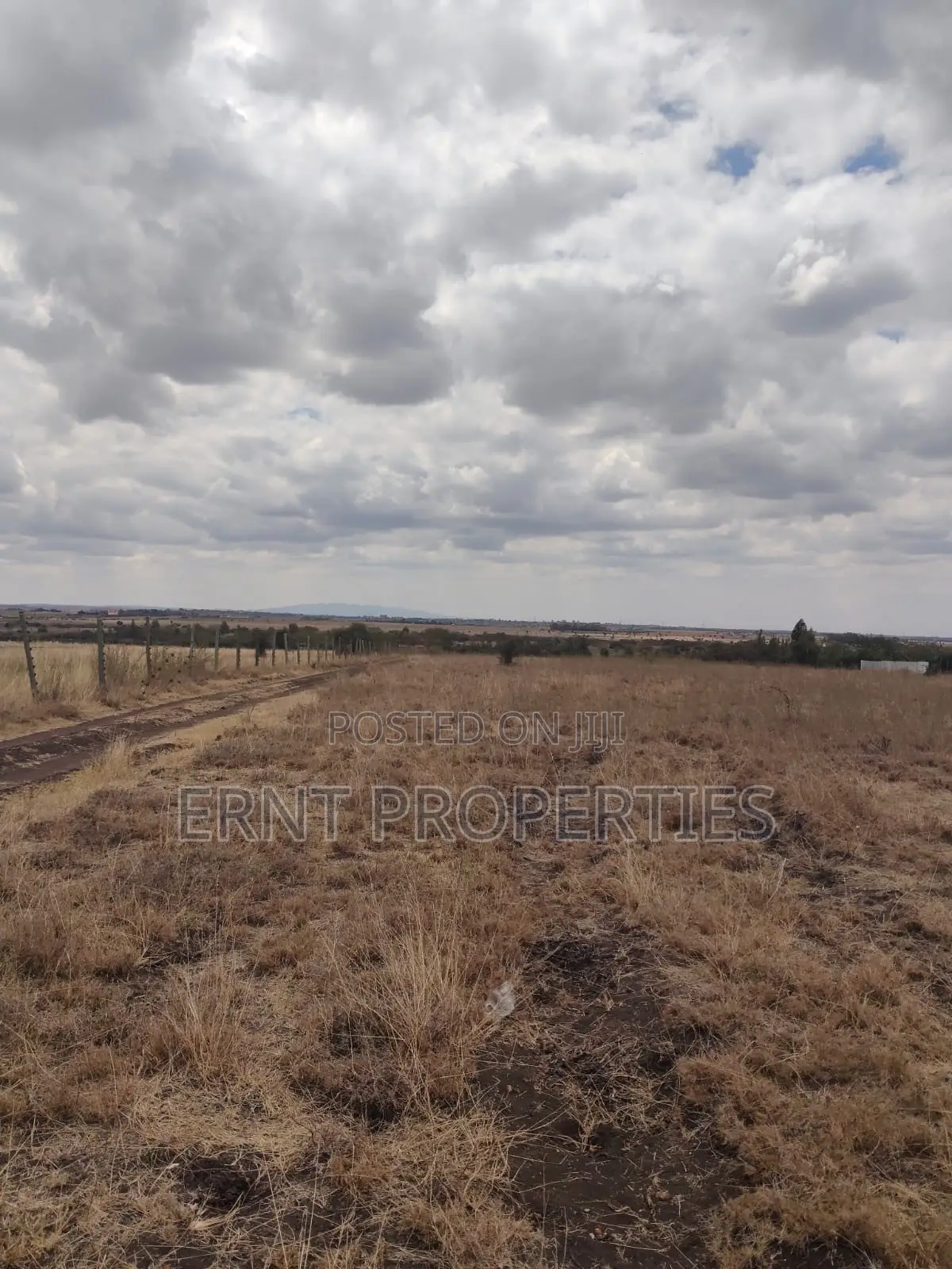 Kisaju Prime 10 Acres - Developer's Dream Deal! in Kisaju
