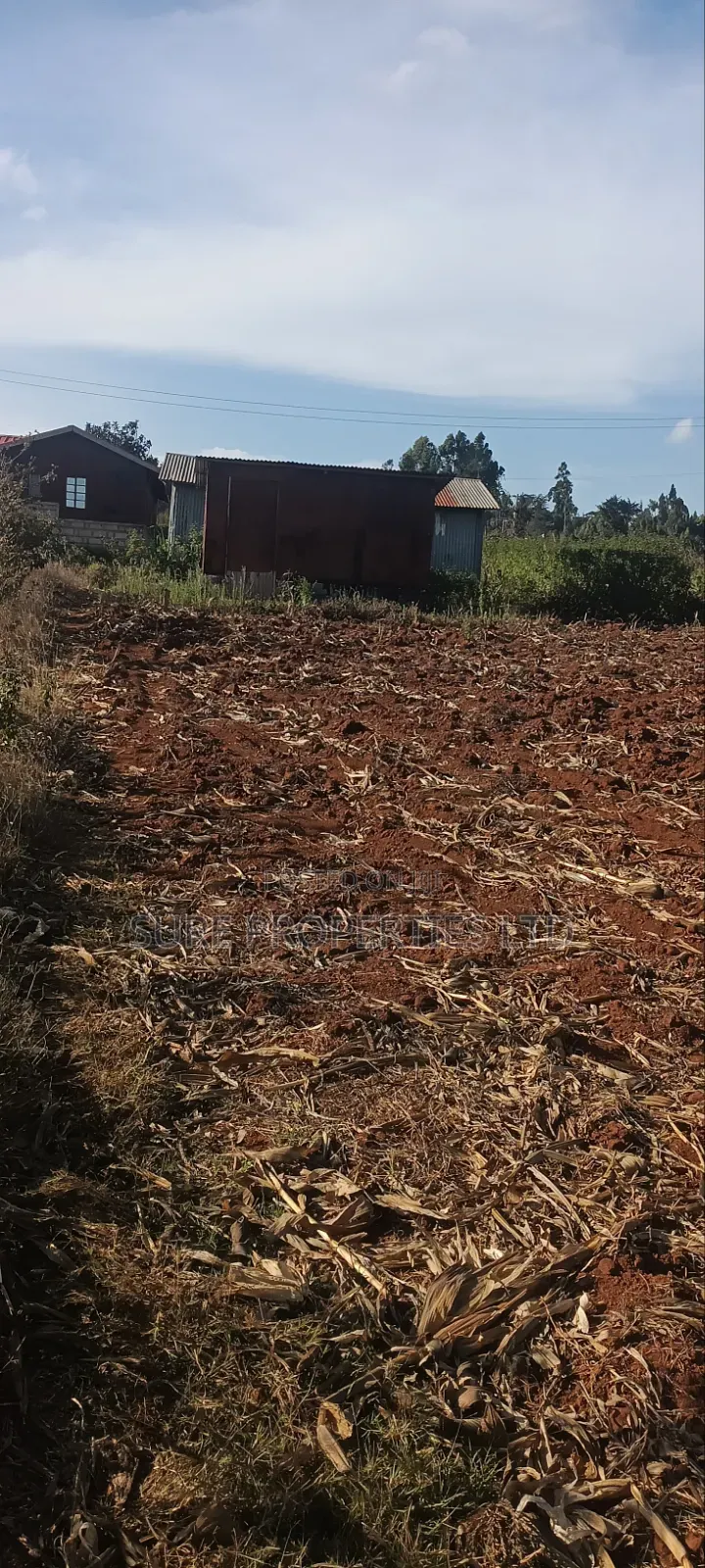 Thogio Kamangu in Karai
